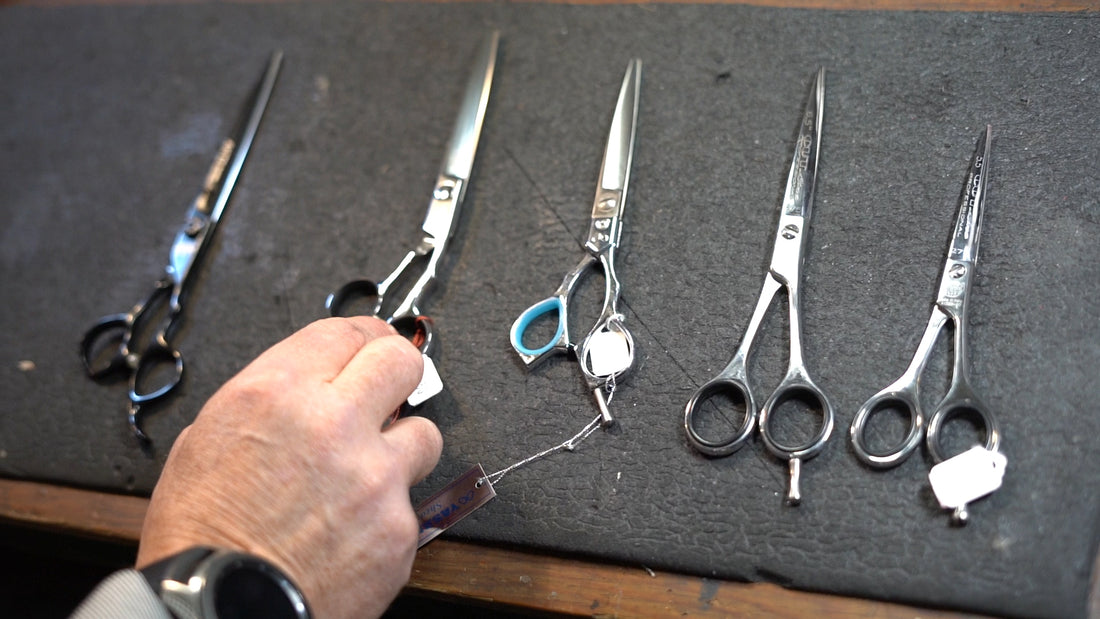 What's Your Type? Everything You Need to Know to Choose the Best Scissors for Your Needs
