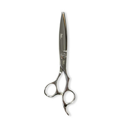 Hair cutting scissors on a white background